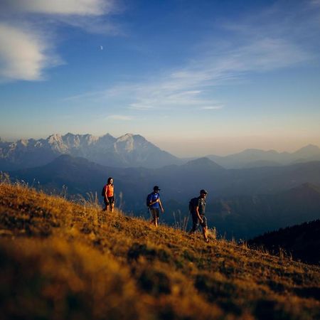 Schmautz Ferienwohnungen & Zimmer Miklauzhof Dış mekan fotoğraf