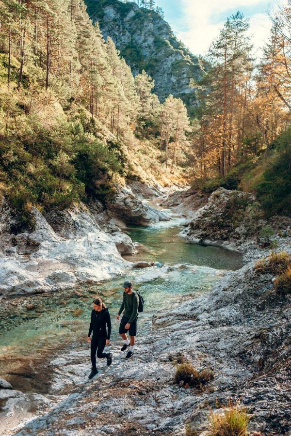 Schmautz Ferienwohnungen & Zimmer Miklauzhof Dış mekan fotoğraf